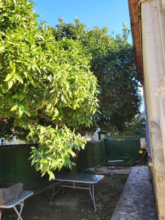 Apartamento Clémentine Collioure Exterior foto